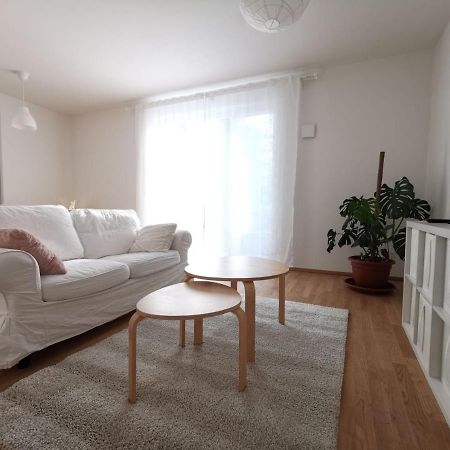 Gemuetliches Privatzimmer In Geraeumiger Gemeinschaftswohnung Dresda Exterior foto