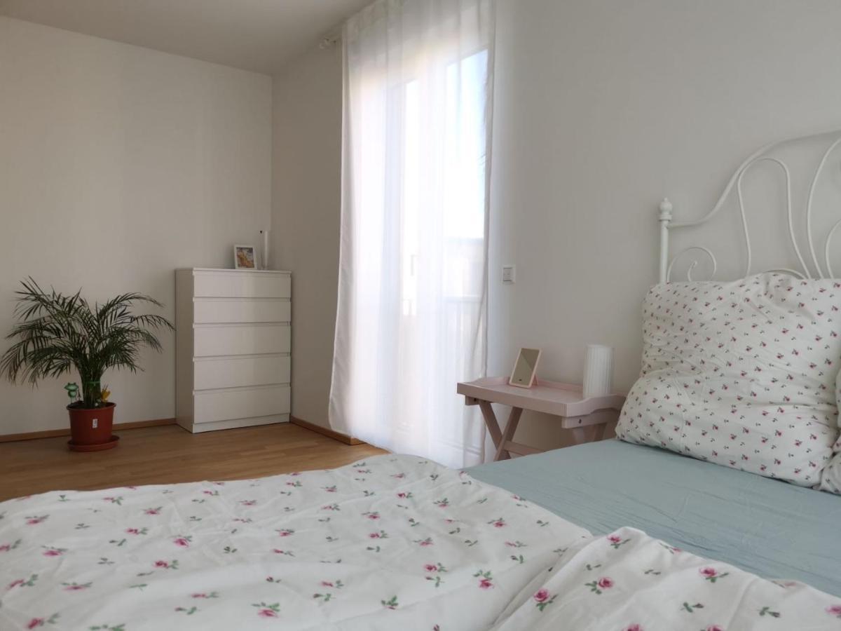 Gemuetliches Privatzimmer In Geraeumiger Gemeinschaftswohnung Dresda Exterior foto